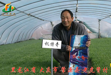 大慶-肇源縣-用戶迴訪(fang)視(shi)頻