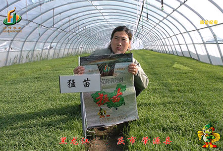 大慶 肇(zhao)源縣-迴(hui)訪視頻