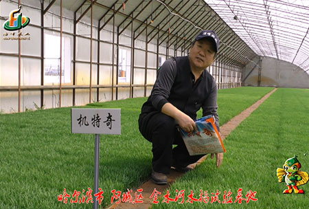 哈爾濱金水河基地-用戶迴訪(fang)視頻(pin)