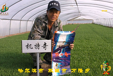 哈爾濱雙城(cheng)萬隆(long)-用戶迴訪視頻(pin)