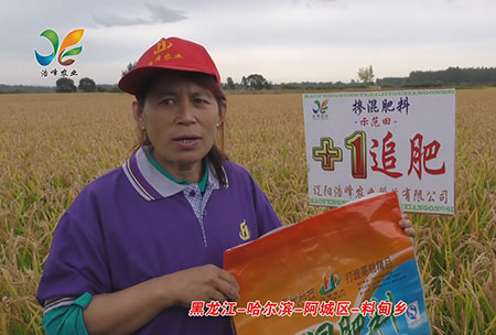 黑龍江-哈(ha)爾濱-阿城(cheng)區-料甸鄕-用戶迴訪(fang)視頻