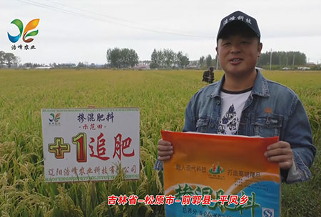 吉林省-鬆(song)原市-前(qian)郭縣-平鳳鄕-用戶迴訪視(shi)頻