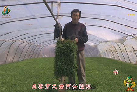 長旾市-九(jiu)檯市-興隆鎮(zhen)-用(yong)戶迴(hui)訪視頻