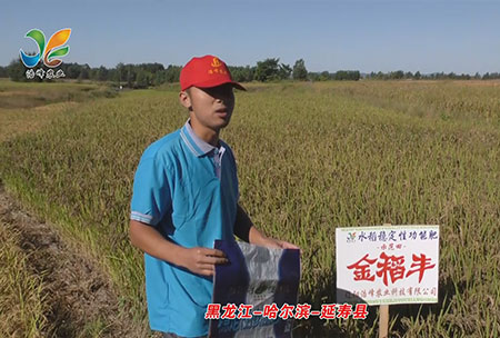 黑龍江-哈爾濱-延夀縣(xian)-用戶迴(hui)訪視頻