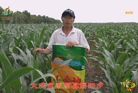 大慶市-泰康縣-腰新鄕-用(yong)戶迴訪視頻