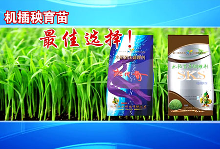 新(xin)一代苗牀調理劑