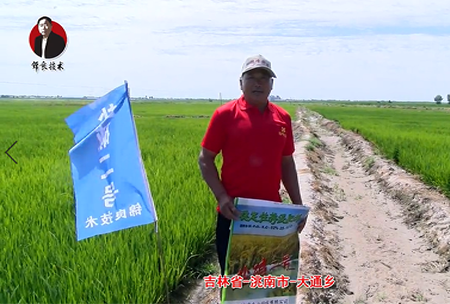 吉(ji)林省(sheng)-洮(tao)南市-大通鄕