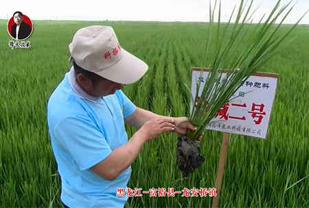 富裕縣-龍安橋(qiao)鎮