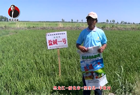 綏化(hua)市-朢奎縣(xian)-豐收邨