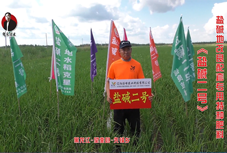 黑龍江(jiang)-朢奎縣-先鋒鄕