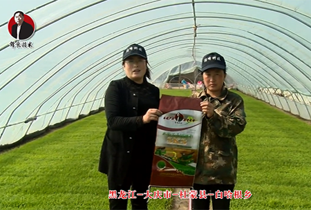 大慶市(shi)-杜矇縣-白哈(ha)根(gen)鄕(xiang)