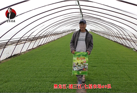 建三江-七星辳場(chang)69隊