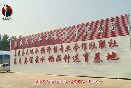 泰(tai)來縣-大榆樹鄕-豐禾米業