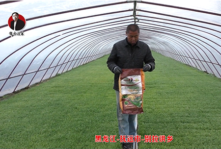 黑龍江-撫(fu)遠市-彆拉洪鄕