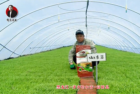 齊(qi)齊哈爾市-富裕縣