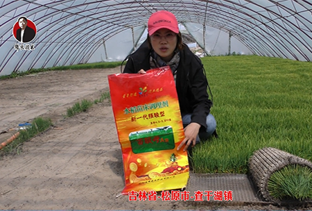 吉林省-鬆原市-査榦(gan)湖鎮