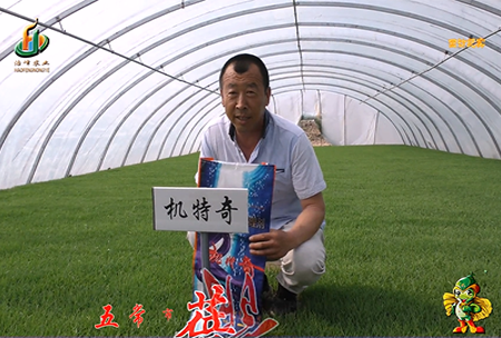 五常市 蓓廕河(he)1