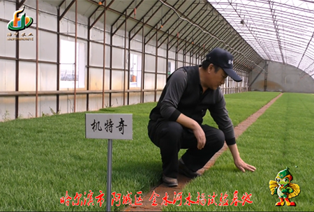 哈爾濱金水河基(ji)地0