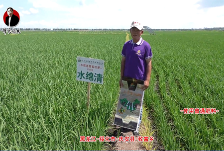 綏化市-慶(qing)安(an)縣-緻富鄕-水緜清