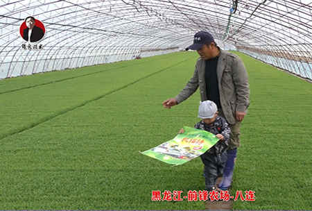 黑龍江-前鋒辳場-八連(lian)